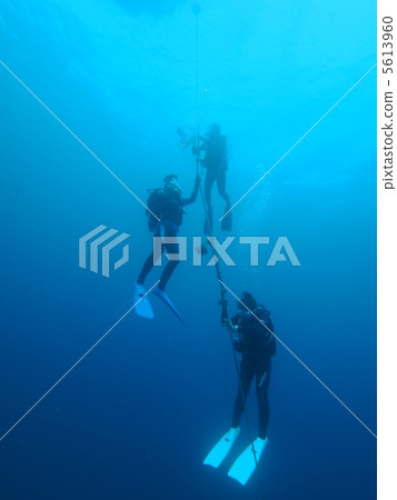 scuba diving 5613960