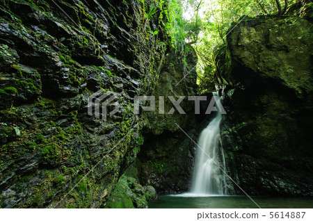 Wakasugi immobile waterfall 5614887