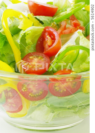 vegetable salad	 5614902