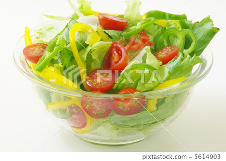 vegetable salad	 5614903