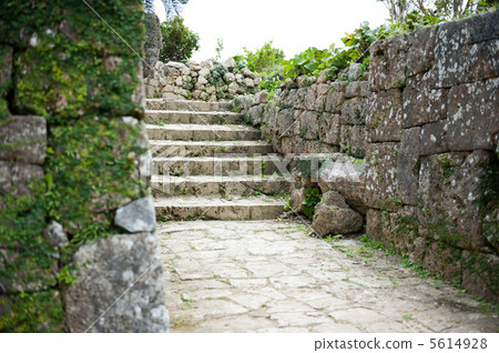 Nakagusu城堡廢墟 5614928