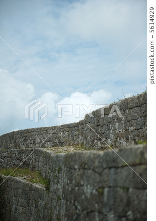 Nakagusu城堡廢墟 5614929