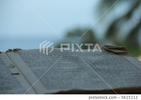 Bible 5615112