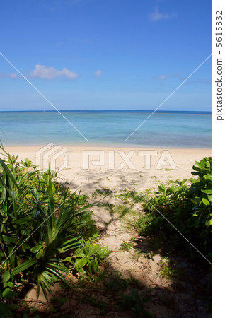 Shin-ekida Beach Shin-ekida Beach 5615332