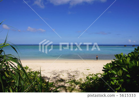 Shin-ekida Beach Shin-ekida Beach 5615333