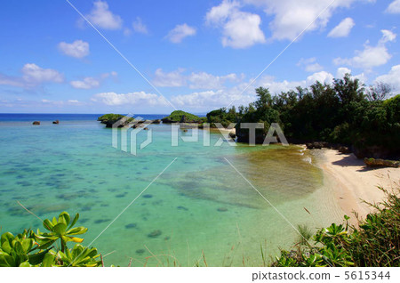 Shin-ekida Beach Shin-ekida Beach 5615344