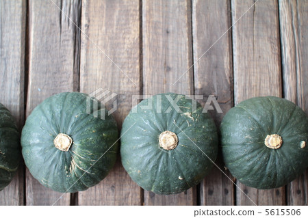 手掌大小的北海道「少爺」南瓜排成一排 5615506