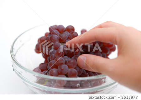 A hand picking grapes from a bowl A hand picking grapes from a bowl 5615977