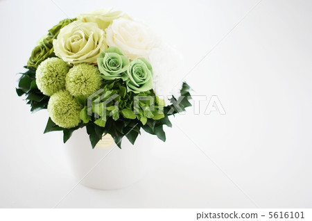 Potting Arrangement Right margin 5616101