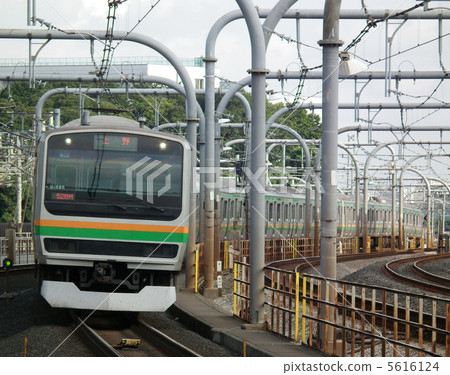 宇都宮線E231系列赤羽站 5616124