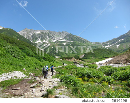 Northern Alps Muroudo Midsummer 5616296
