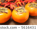 persimmon 5616431