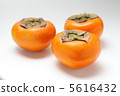 persimmon 5616432