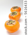 persimmon 5616433