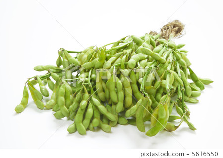 Tango的黑豆 5616550