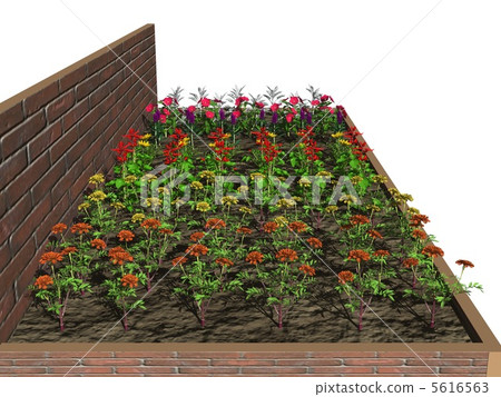 Flowerbed 1c 5616563