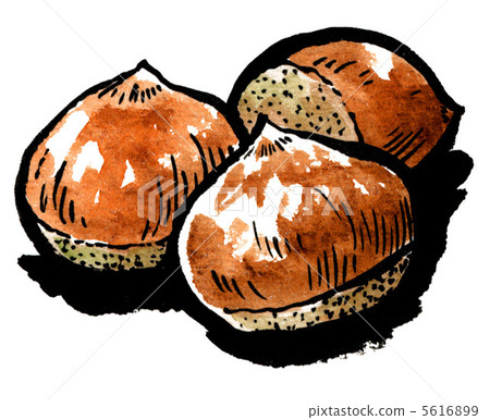 煨栗子 水果 板栗 5616899