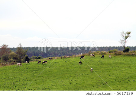 Tokachi ranch 5617129