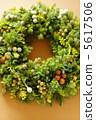 Christmas 5617506