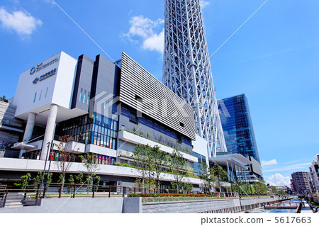 東京天空樹鎮和藍天 東京天空樹鎮和藍天 5617663