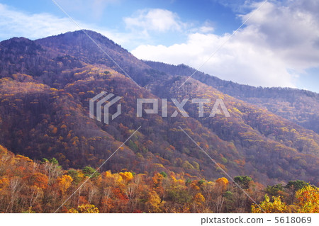 Three steps of autumn leaves 5618069