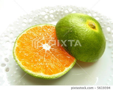 橘子切 橘子切 5619394