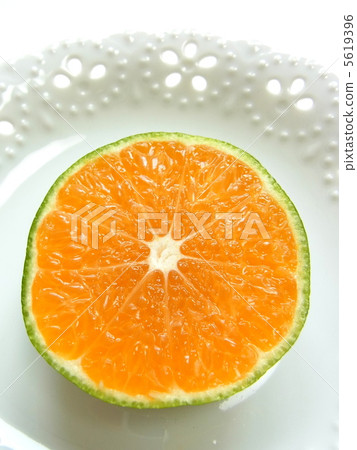 Cross section of cut oranges 5619396