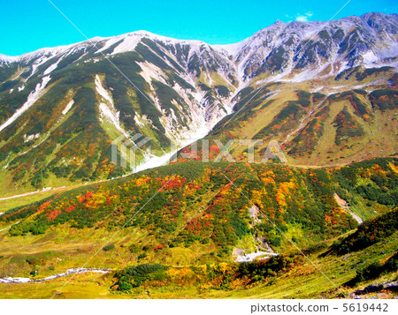 Tateyama autumn leaves 5619442
