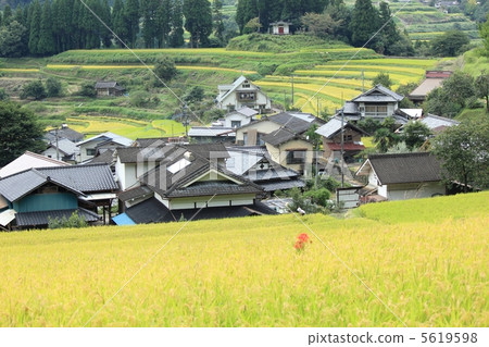Autumn rice terraces Autumn rice terraces 5619598