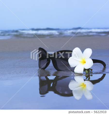 Sunglasses and flower 5622910