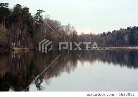 Reflection of a wood 5623082