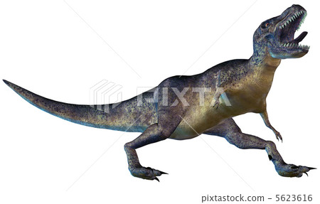 T-REX ☆ Tyrannosaurus T-REX ☆ Tyrannosaurus 5623616