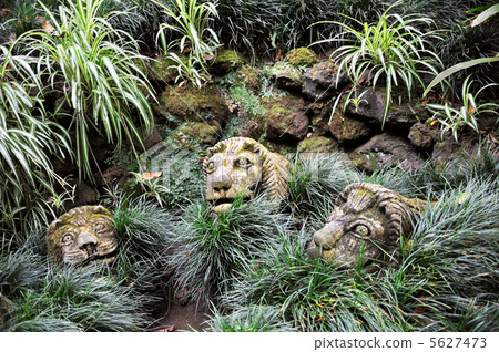 lion, ornamental, outdoor 5627473