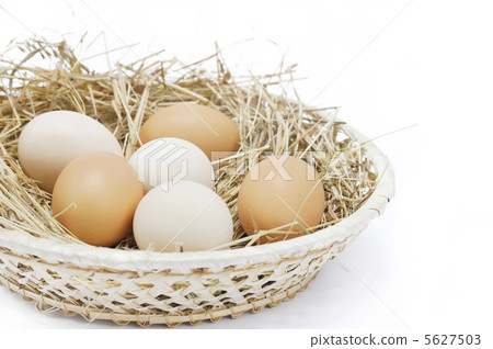 Fresh farm eggs Fresh farm eggs 5627503