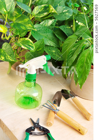 shears, shovel, spade 5627569