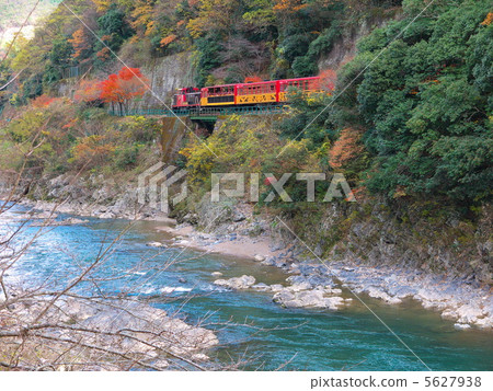 Hozu Gorge of autumn leaves and a truck train Hozu Gorge of autumn leaves and a truck train 5627938