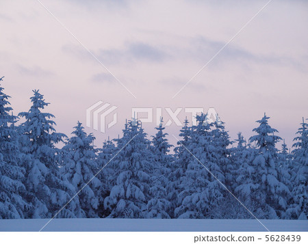 一個下雪天的黃昏 5628439