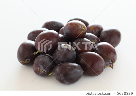 prune  prune  5628529