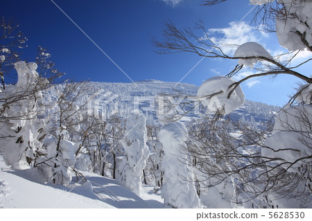 Rape of Hakkoda mountain Rape of Hakkoda mountain 5628530