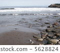 海灘 5628824
