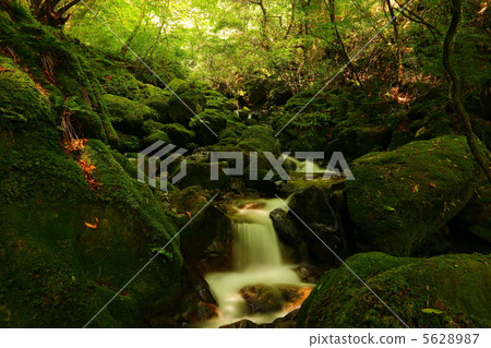 東京的性質 東京的性質 5628987