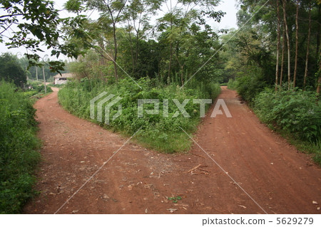 一條分開的道路 5629279