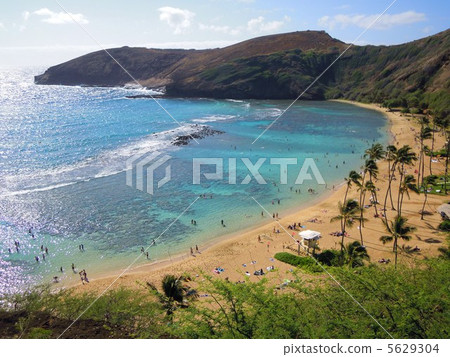 瓦胡島哈瑙瑪灣 瓦胡島哈瑙瑪灣 5629304