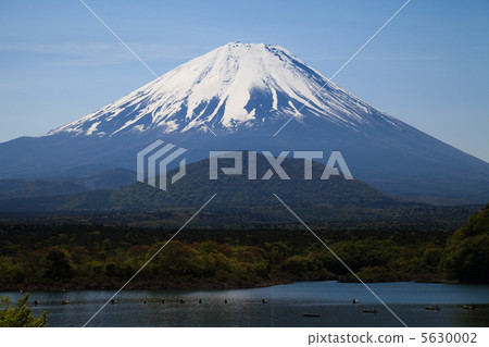 Mount Fuji and Daeho Mountain 5630002