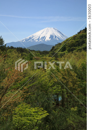 Mount Fuji over the ocean Mount Fuji over the ocean 5630003