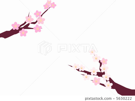 春天 春天 5630222
