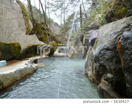 一棵巨樹和一輛帶熱水的攤位車 5630427