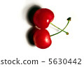 Cherry 5630442