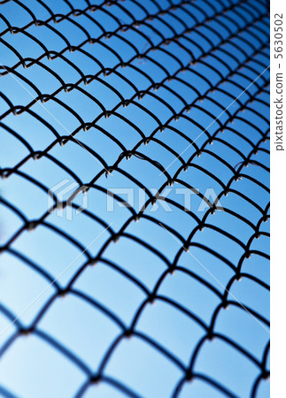 Grid Rabitz against the sky 5630502