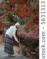 The autumn leaves and deer of Nara 5631313